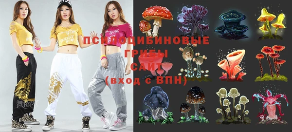 хмурый Волосово