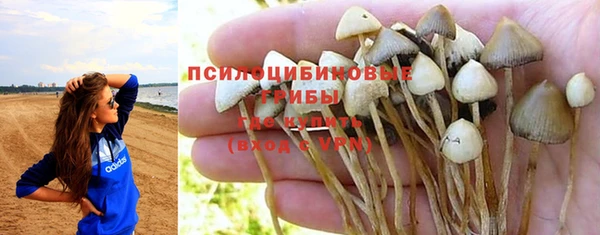 хмурый Волосово
