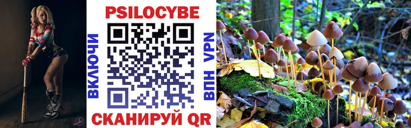 Галлюциногенные грибы Cubensis  Карабулак 